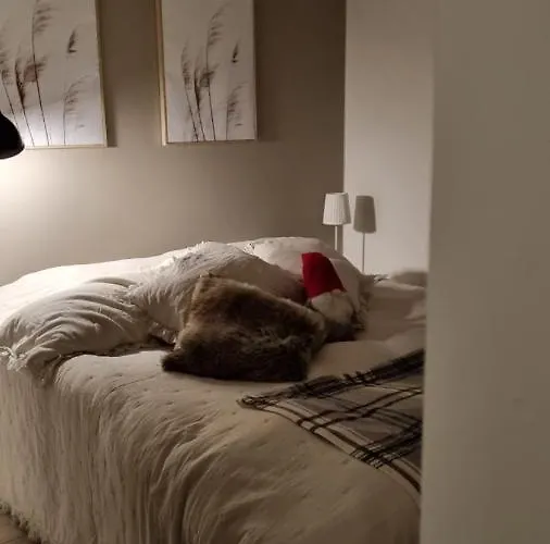 Apartment Arctic Star With Sauna Rovaniemi