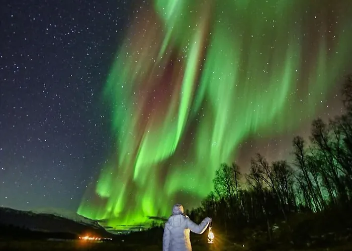 Arctic Star With Sauna Apartment Rovaniemi